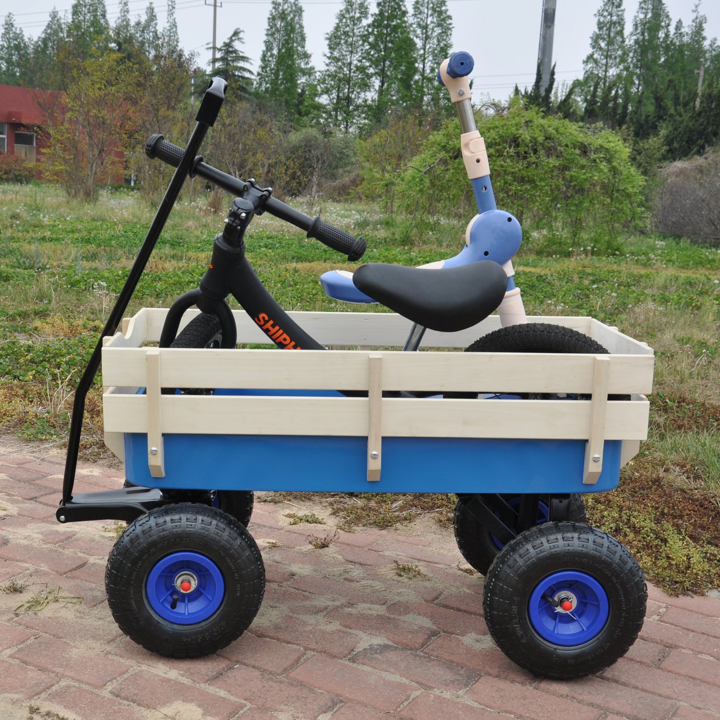 20667975