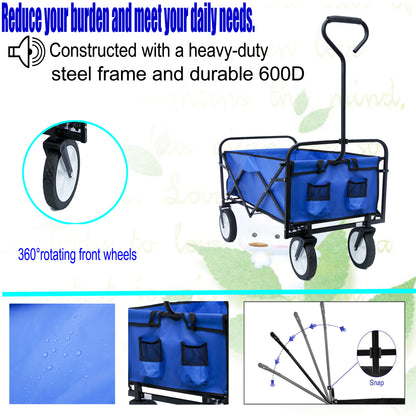 20667571