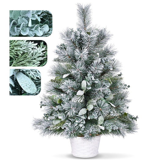 2ft Tabletop Christmas Tree with Eucalyptus & Pine Needle Accents, 68 Tips, Lightly Flocked Mini Artificial Tree with Plastic Cement Base, Small Holiday Decoration for Desk, Table & Mantel